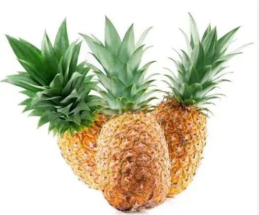 Ananas taze ürün görseli