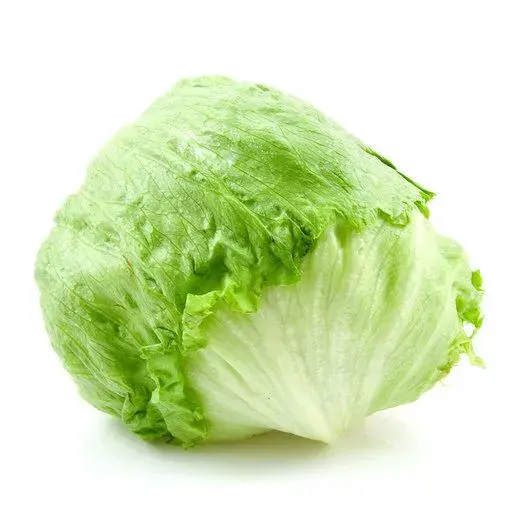 Marul (Iceberg) taze ürün görseli