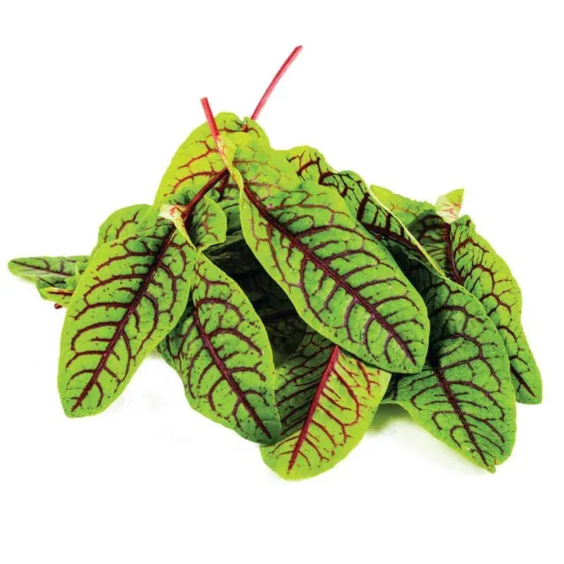 Kırmızı Kuzu Kulağı (150gr) taze ürün görseli