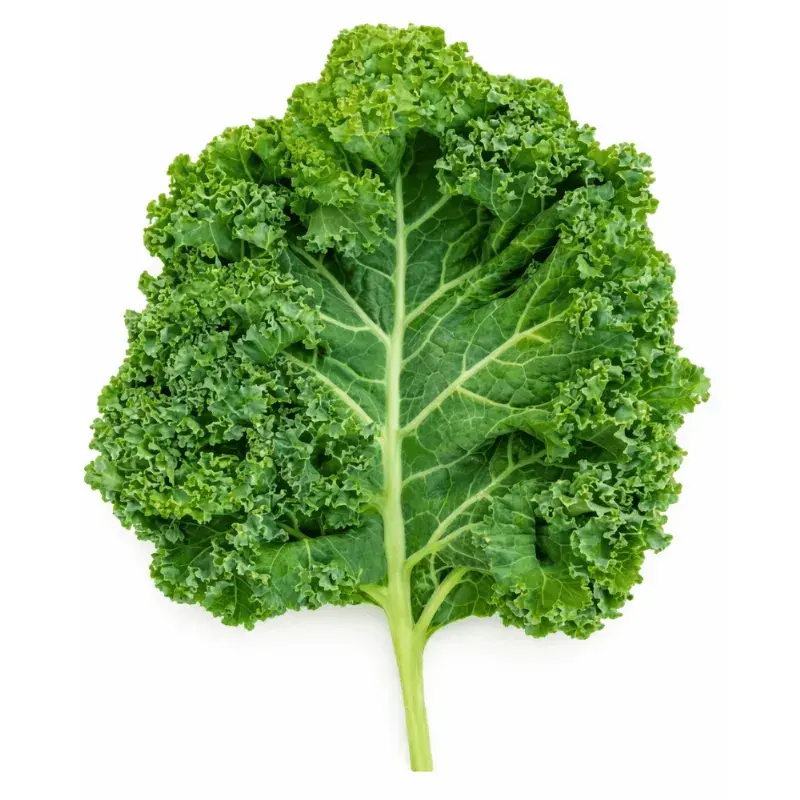Kale Yaprağı (500gr) taze ürün görseli