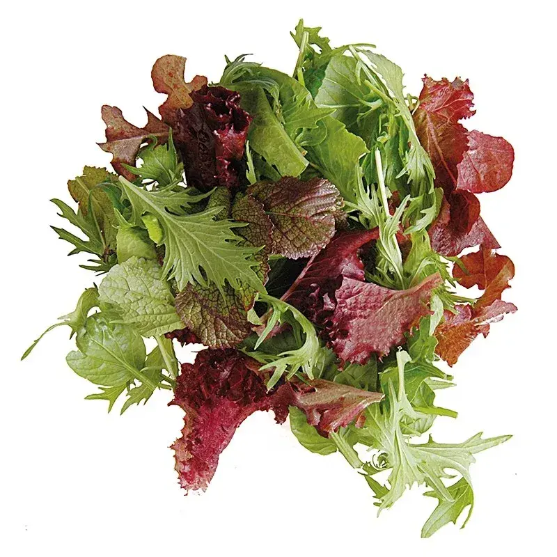 Maskolin (Mesclun) Salatası (500gr) taze ürün görseli