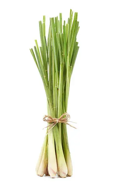 Lemon Grass taze ürün görseli