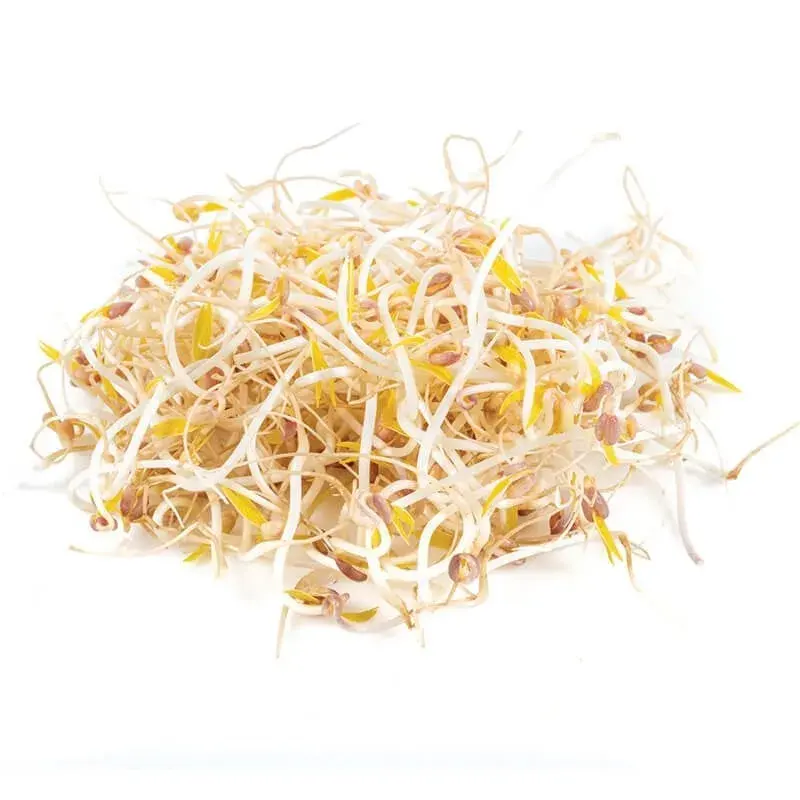 Soya Filizi (125gr) taze ürün görseli