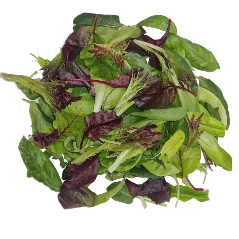 Ege Salatası taze ürün görseli