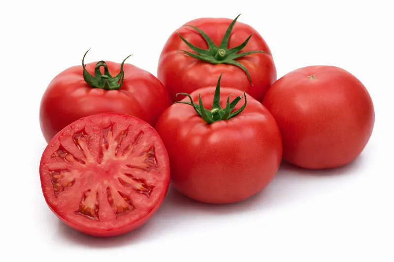 Domates (Yeni Kalite) stok görseli