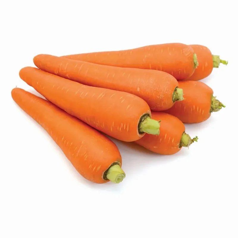 Havuç (Seçilmiş) stok görseli