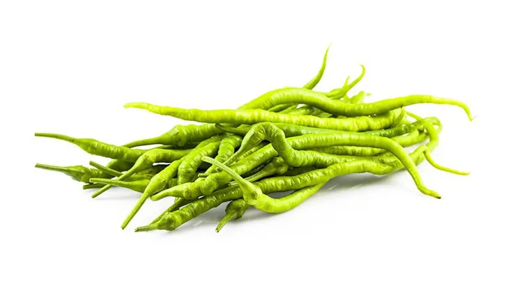 Kahvaltılık Biber Yayla (Seçilmiş Kalite) stok görseli